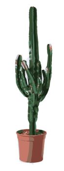 cactus euphorbia dwg drawing