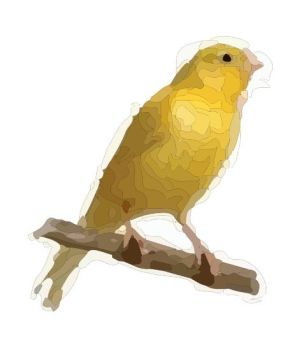 canary dwg drawing