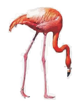 desenho de flamingo 2 dwg