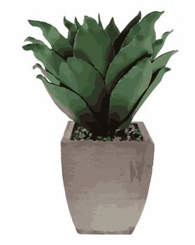 green succulent plant dwg drawing