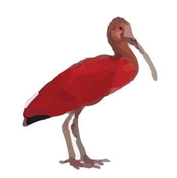 dibujo de ibis dwg