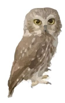 owl dwg drawing