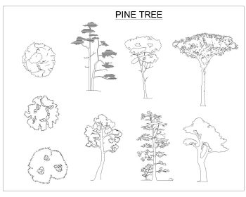 pine_tree-Model