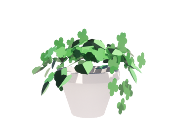 Green potted plant (Bonsai) revit family