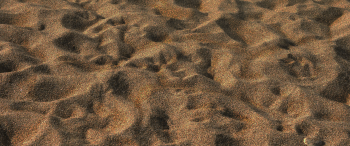Sand texture .png