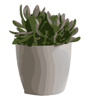 succulent plant 2 dwg drawing