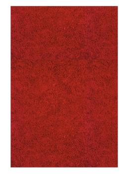 Red carpet sketchup
