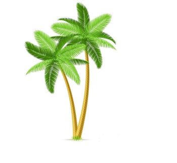 tropical-palm-trees.dwg