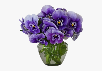 violetas-flor dwg