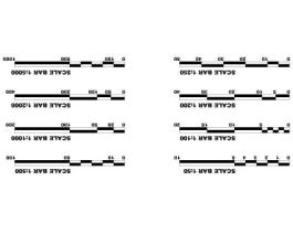 scale-bar-Model | Thousands of free CAD blocks