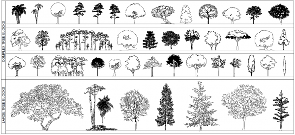 Trees Elevation（有料コレクション2）