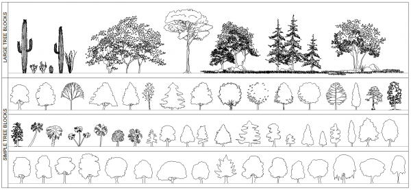 Trees Elevation (Paid Collection 3)