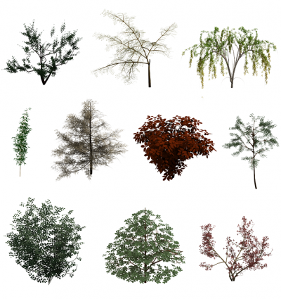 3ds Max软件收集树