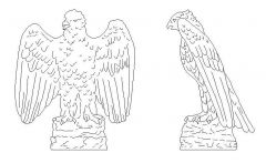 Сад - Орнамент белоголовый орлан