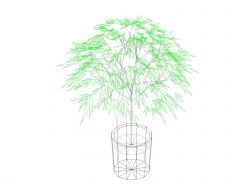 3D Moveable CAD Blocks of Trees .dwg_16