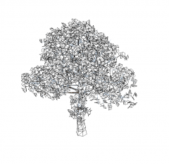 Tree family Revit model 