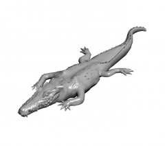 Modello Crocodile 3DS Max