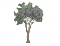 Tree Elevation - Moonlit shaded 1