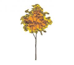 Trees Elevation - Autumnal (Free 3)