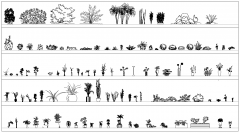 Las plantas en macetas y CAD Colección Arbustos