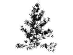 Free AutoCAD 3D Models & Blocks for Planters - 2