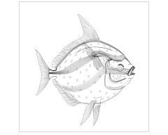 Free AutoCAD Drawing of Fishes are Moving Symbols-17
