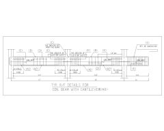 Free AutoCAD 2D Editable Drawings for Typical RF Details for Continuous Beam with Cantilever