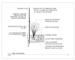Free AutoCAD 2D Editable Drawings for Vine Planting Process