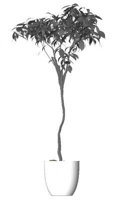 Planta Revit Familia 5