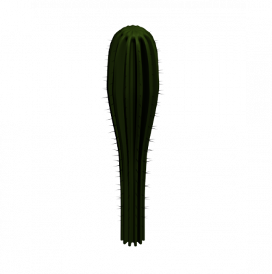 Cactus 3DS Max model 