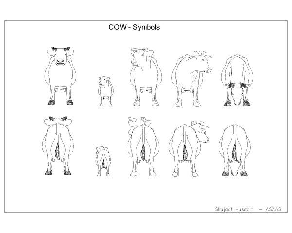 Free Drawing of Cow Symbols-3 for AutoCAD
