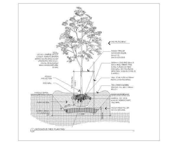 Free AutoCAD 2D Editable Drawings for Deciduous Tree Planting Complete proceedure
