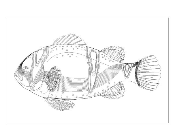 Free AutoCAD Drawing of Fishes are Moving Symbols-19