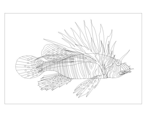 Free AutoCAD Drawing of Fishes are Moving Symbols-7