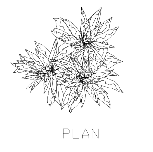 Indoor Plants for Living Room 33 Plan dwg Drawing