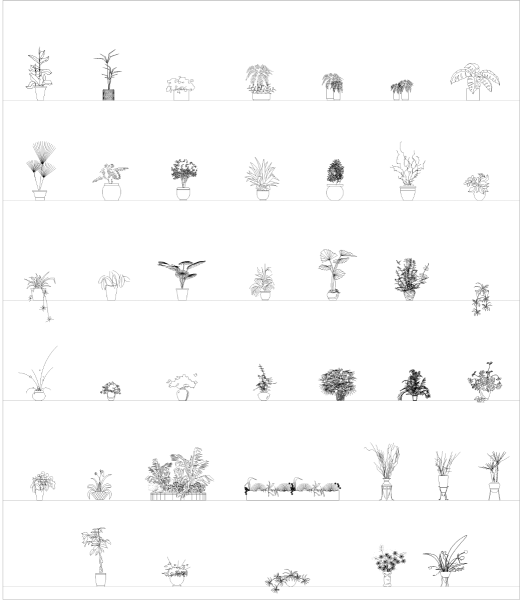Élévations de plantes en pot d'intérieur collection CAD dwg