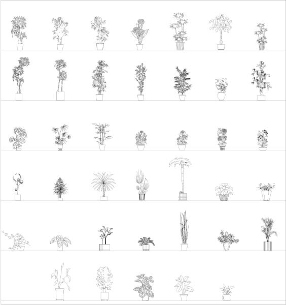 Élévations de plantes en pot d'extérieur collection CAD dwg