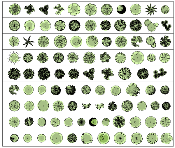 Trees plan colour transparency 