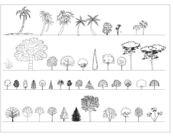Free AutoCAD 2D Editable Drawings for Trees Side view for the Elevational Drawing - 01