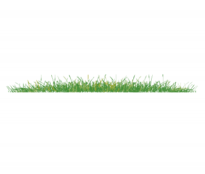 Long grass elevation dwg block Thousands of free CAD blocks