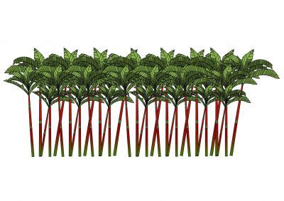 Tree Lipstick Palm Thousands of free AutoCAD drawings