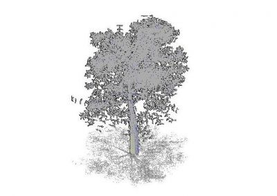 3D Tree 3D DWG block 