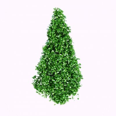 Photoreal 3DS Max tree model 06