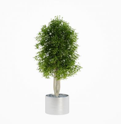 Photoreal 3ds max tree 02