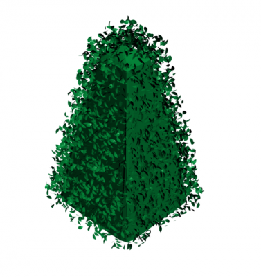 Вечнозеленое дерево 3DS Max модель