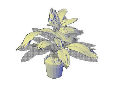 3D Plant 03