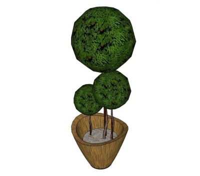Topiary Sketchup model