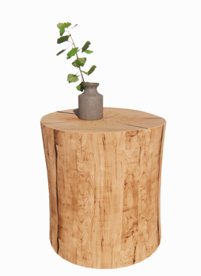 Wooden table with plant vase revit family