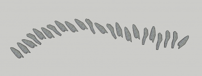 Gray fish shape path sketchup