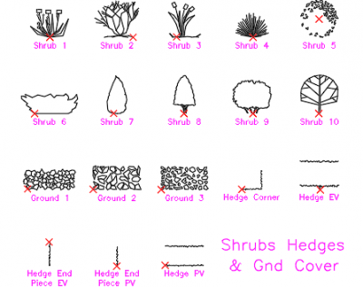 SHRUBS HEDGES AND GROUND COVER dwg